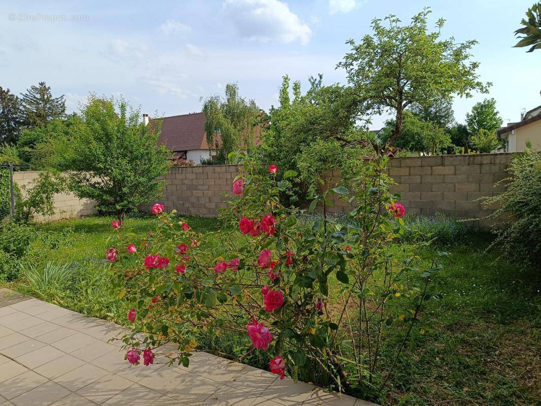 Maison à FONTENAY-LE-FLEURY