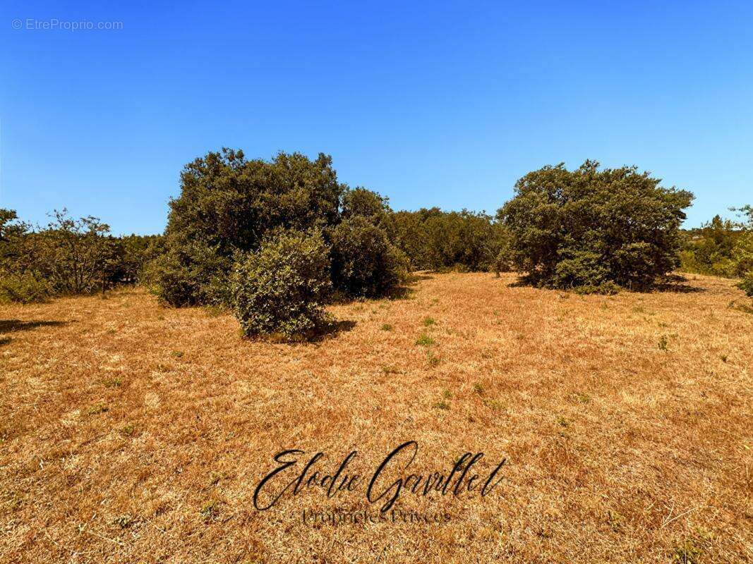 Terrain à CAUNES-MINERVOIS