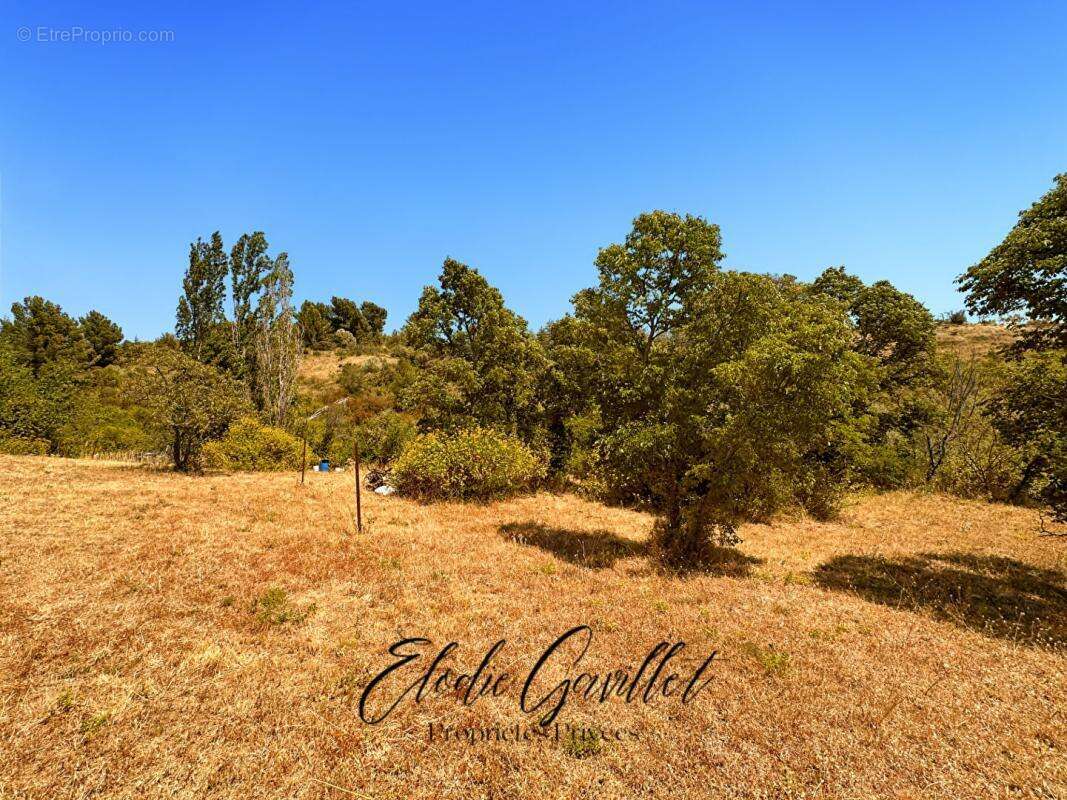 Terrain à CAUNES-MINERVOIS