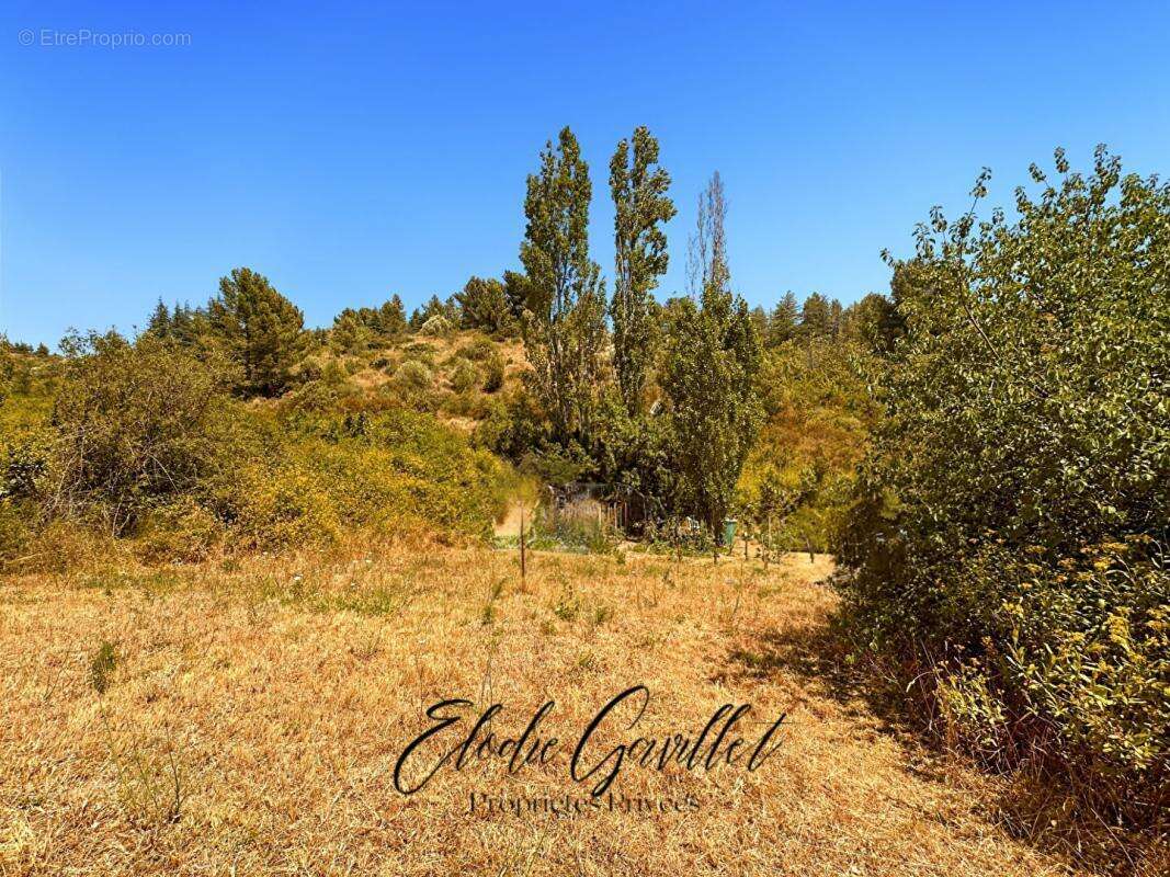Terrain à CAUNES-MINERVOIS