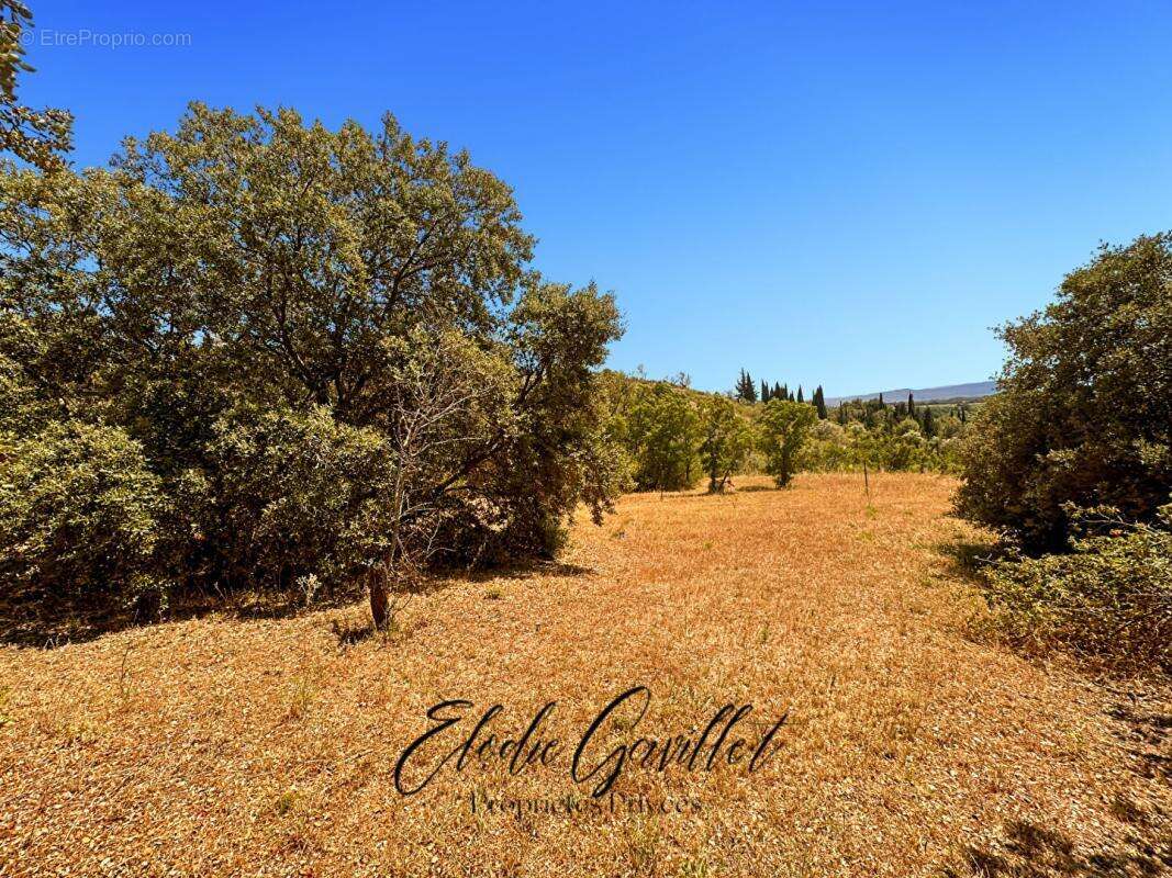 Terrain à CAUNES-MINERVOIS