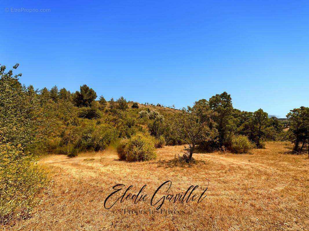 Terrain à CAUNES-MINERVOIS