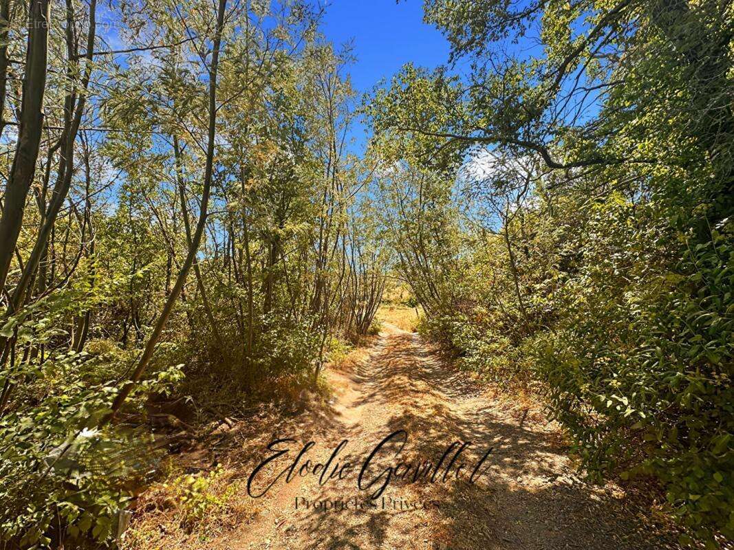 Terrain à CAUNES-MINERVOIS