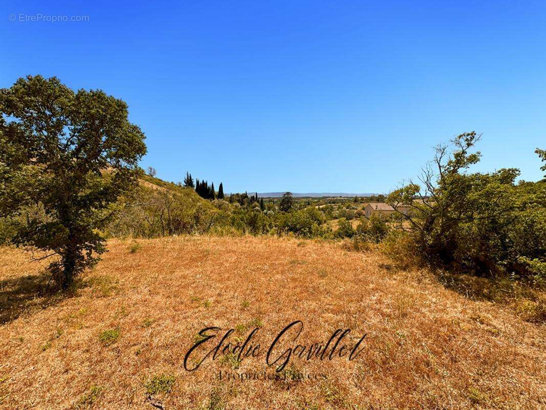 Terrain à CAUNES-MINERVOIS