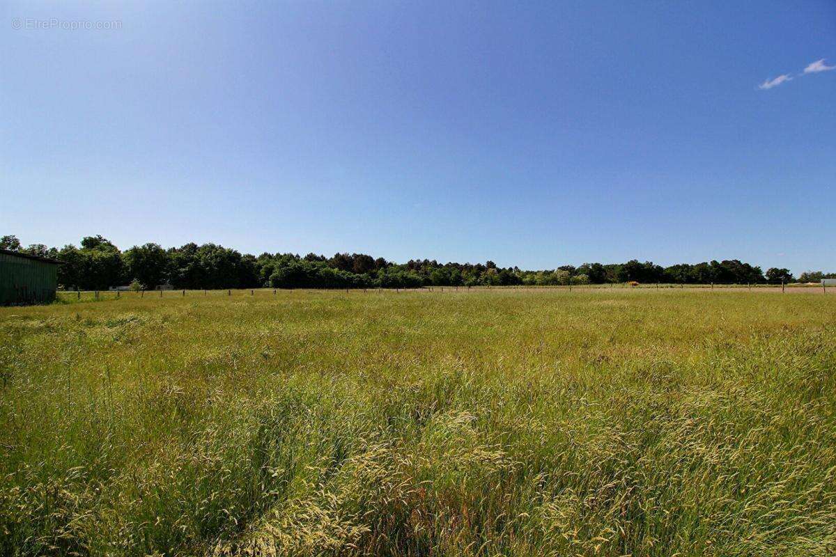 Maison à LUDON-MEDOC