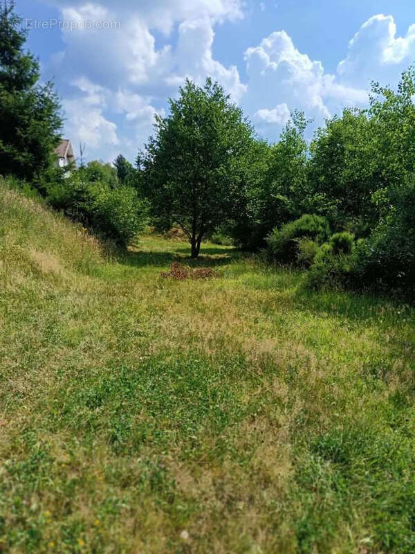 Maison à XONRUPT-LONGEMER