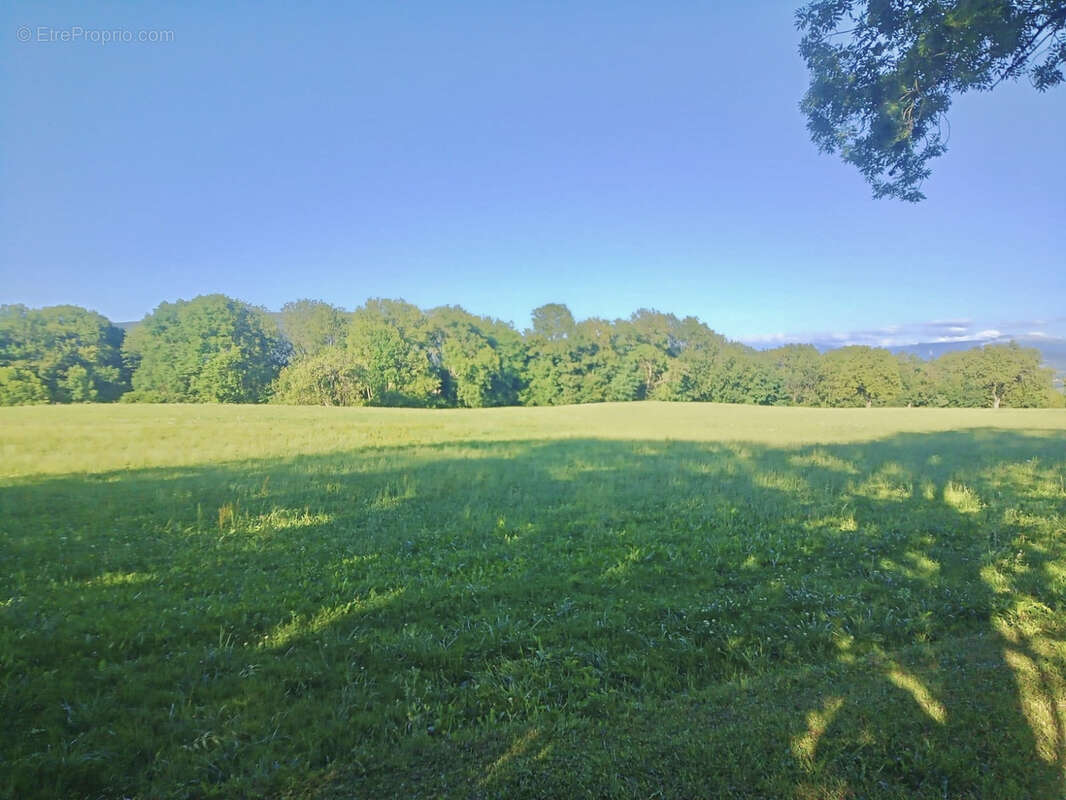 Appartement à USINENS