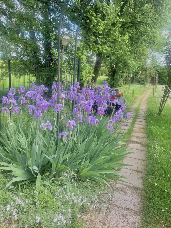 Appartement à USINENS