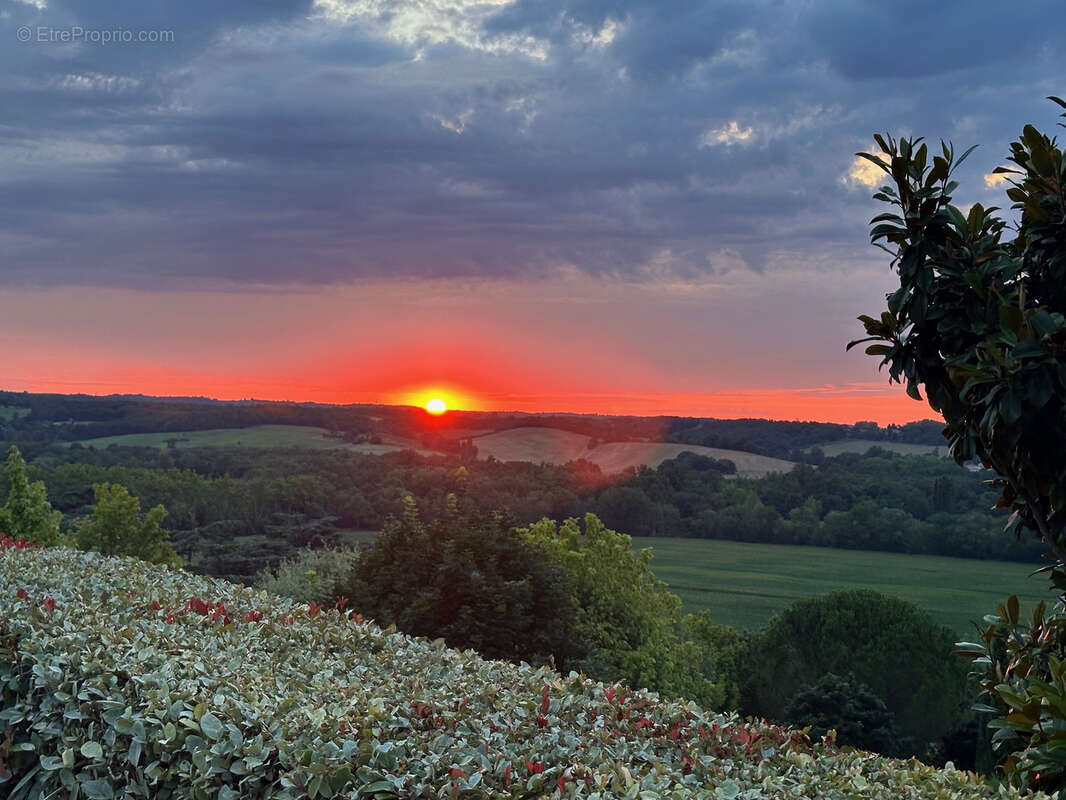 Maison à MONTAIGUT-SUR-SAVE