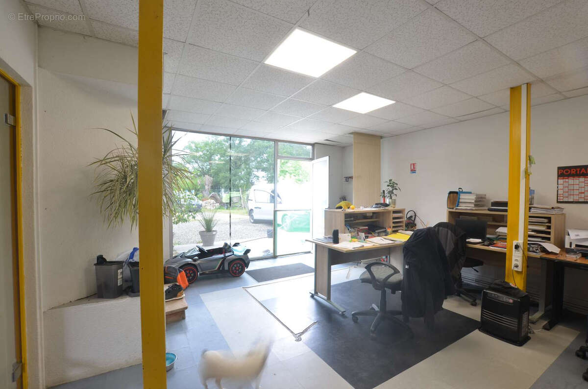 Commerce à AIRE-SUR-L&#039;ADOUR