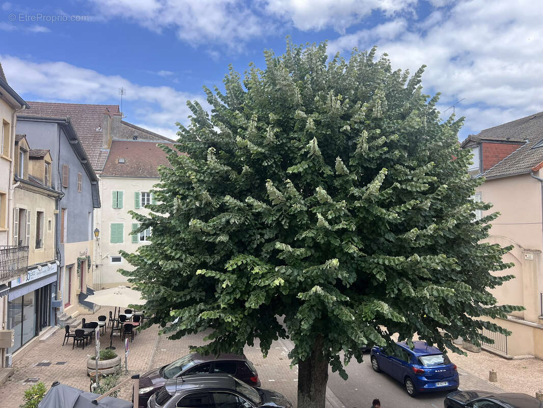 Appartement à CHAROLLES