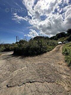 Terrain à SAINT-PAUL