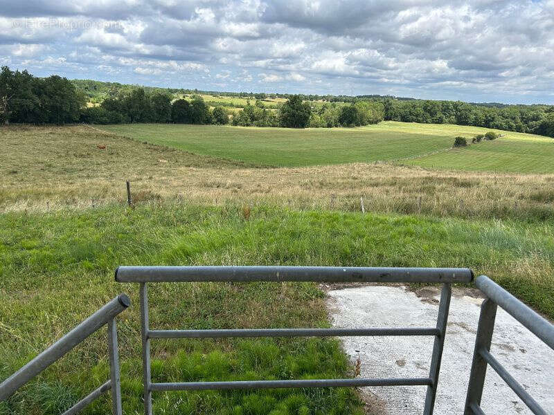 Appartement à MARANSIN