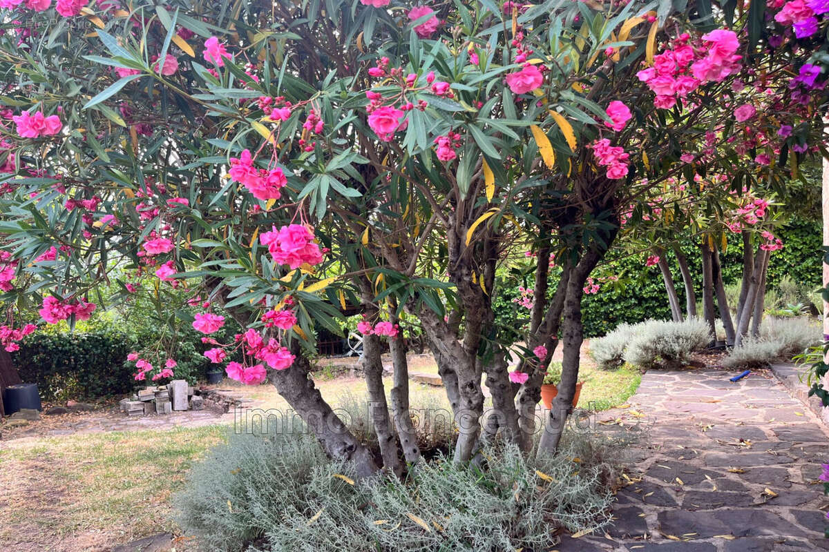 Maison à SAINT-RAPHAEL