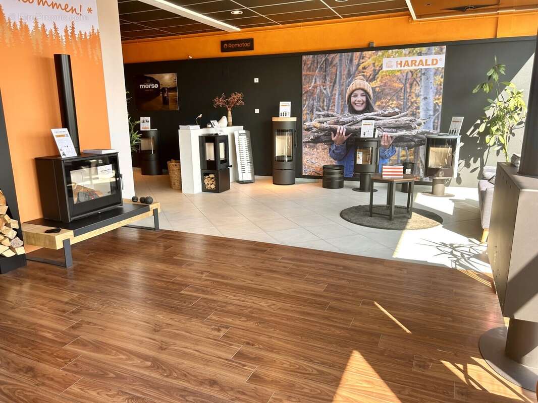 Appartement à RIXHEIM