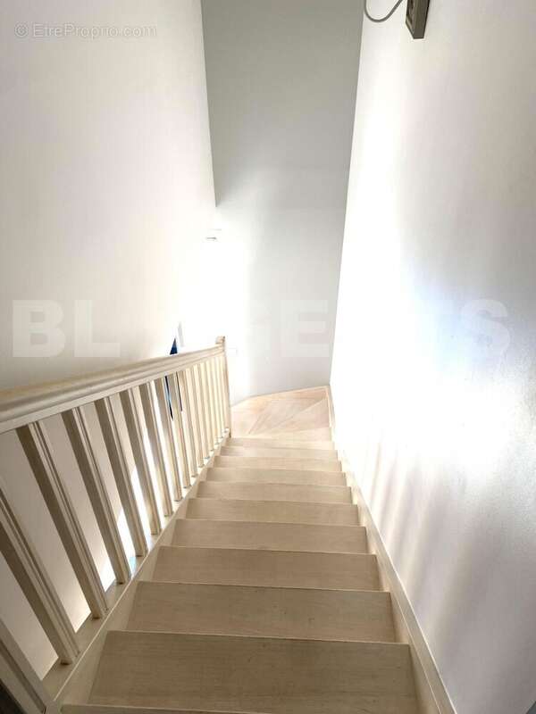 LAY8 - Maison à LE PLESSIS-PATE