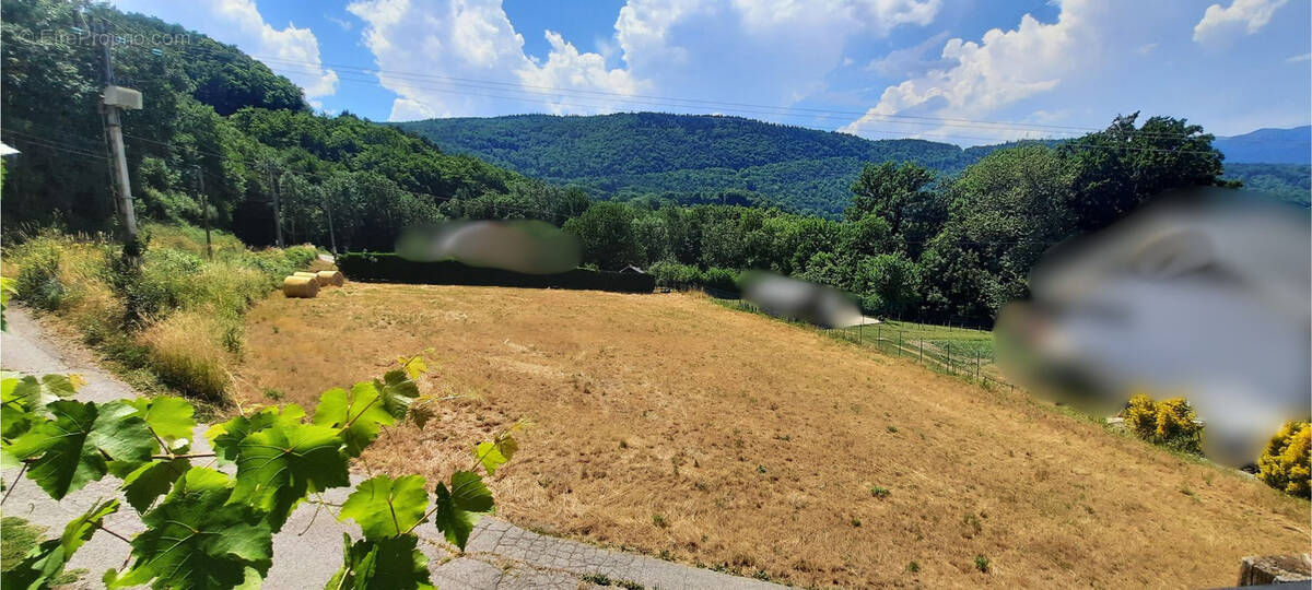 Terrain à SAINT-LAURENT-EN-BEAUMONT