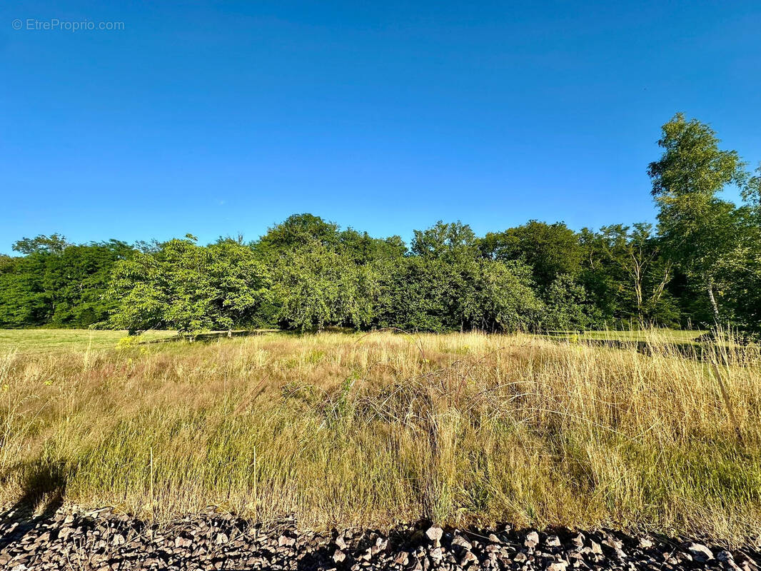 Terrain à BREUCHOTTE