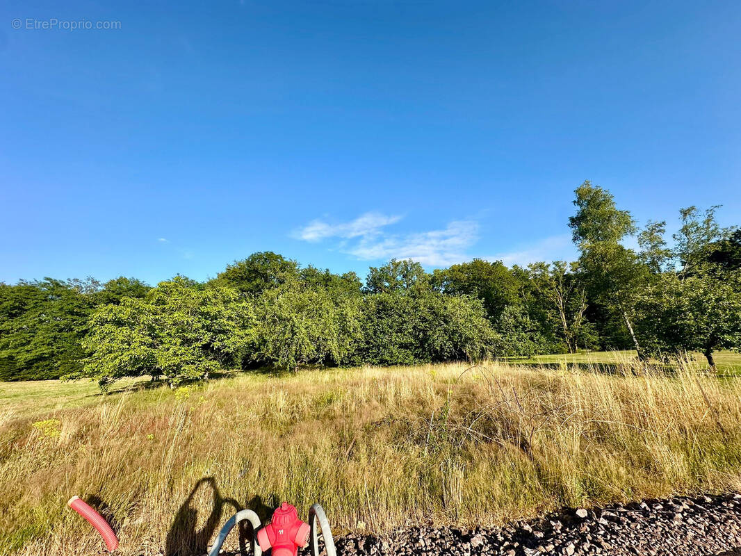 Terrain à BREUCHOTTE