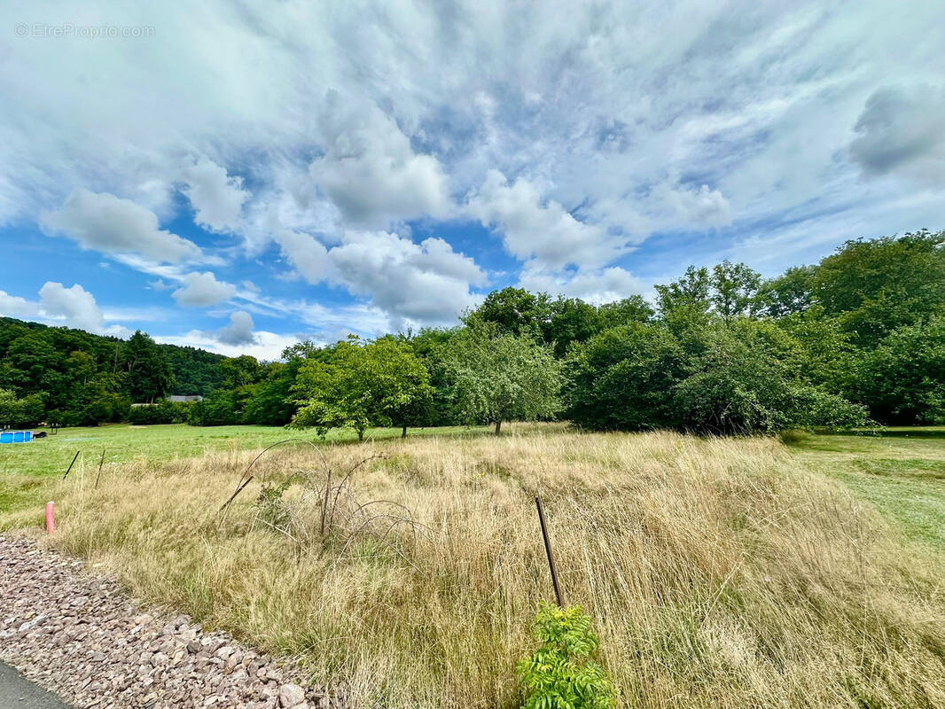 Terrain à BREUCHOTTE