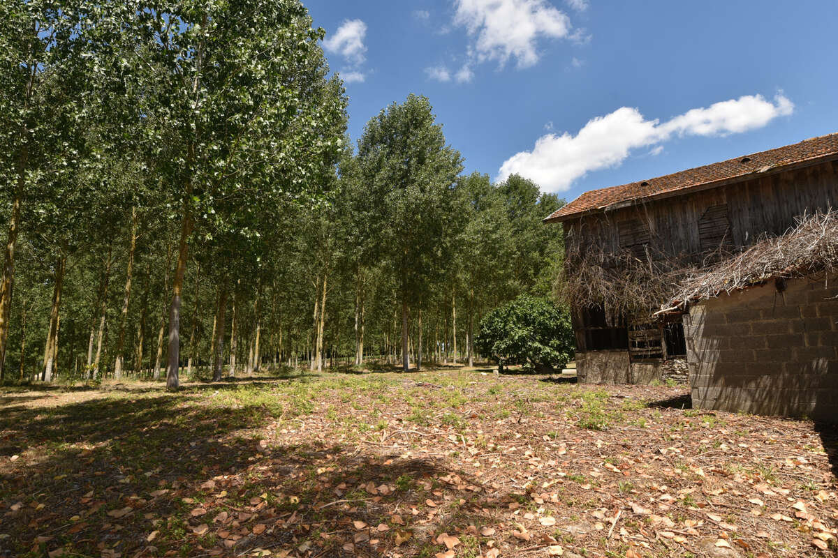 Maison à SAINTE-GEMME-MARTAILLAC
