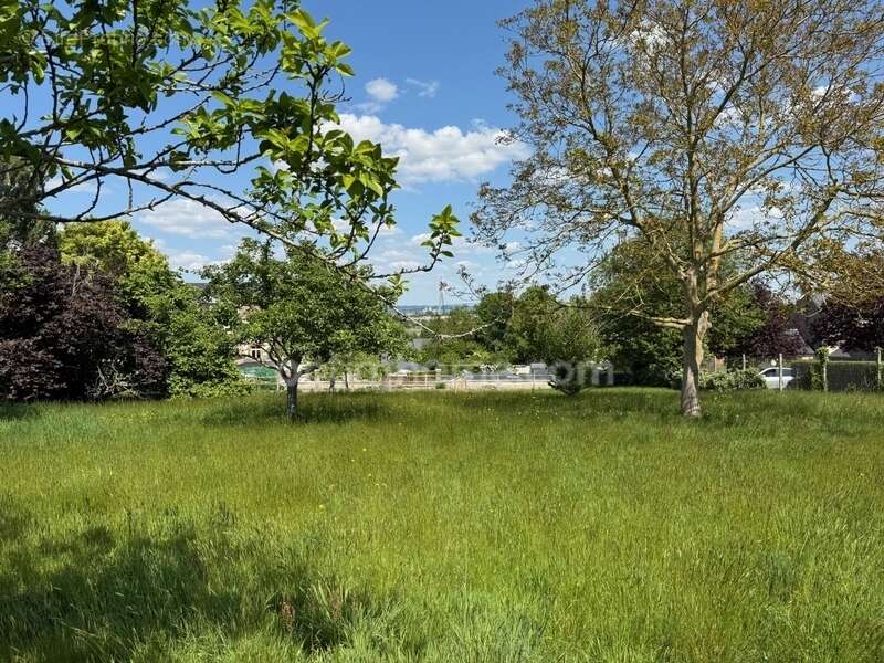 Terrain à HONFLEUR