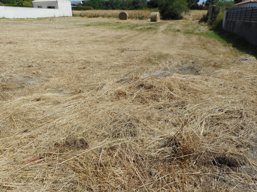 Terrain à SAINT-MICHEL-CHEF-CHEF