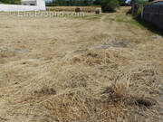 Terrain à SAINT-MICHEL-CHEF-CHEF