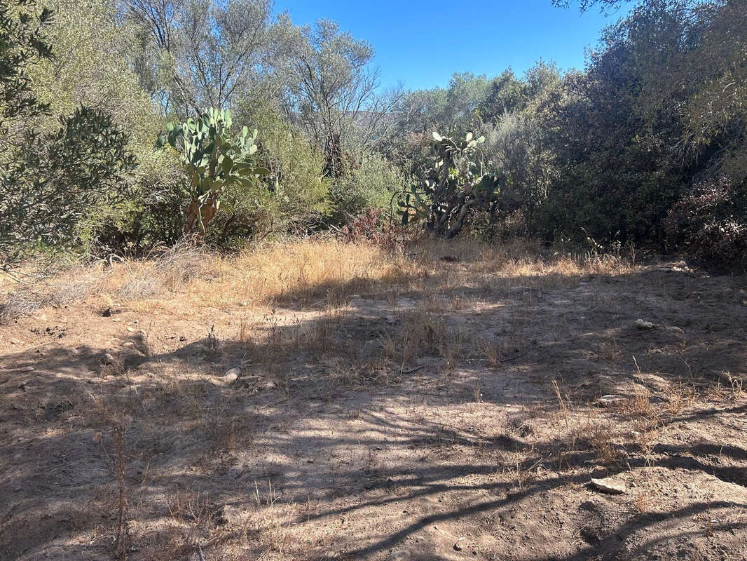 Terrain à PORTO-VECCHIO