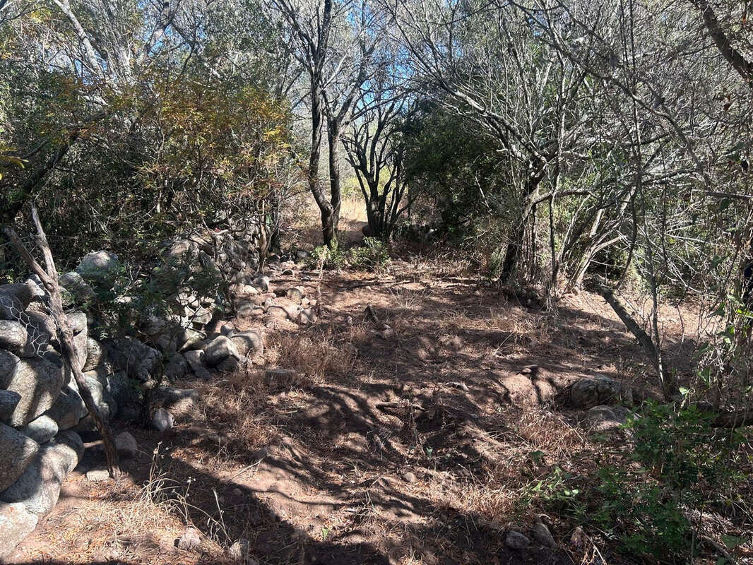 Terrain à PORTO-VECCHIO