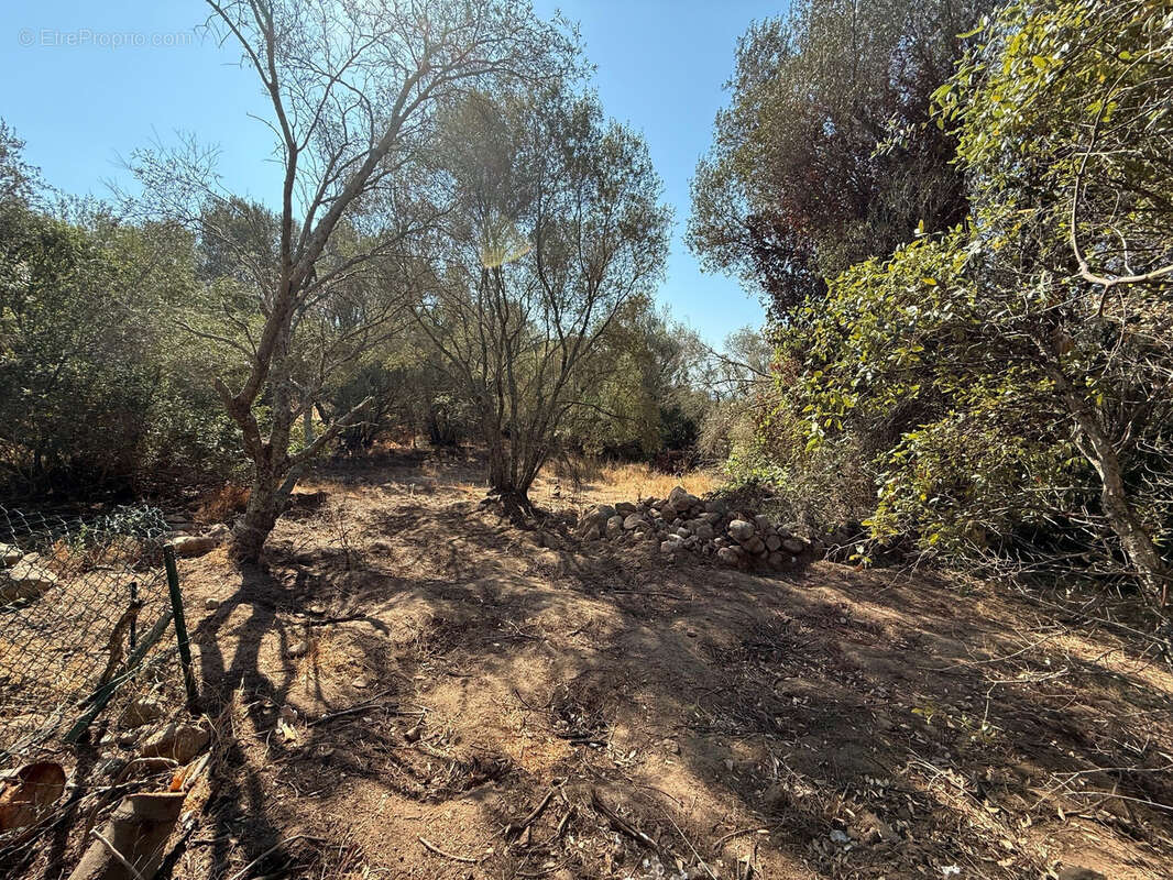 Terrain à PORTO-VECCHIO