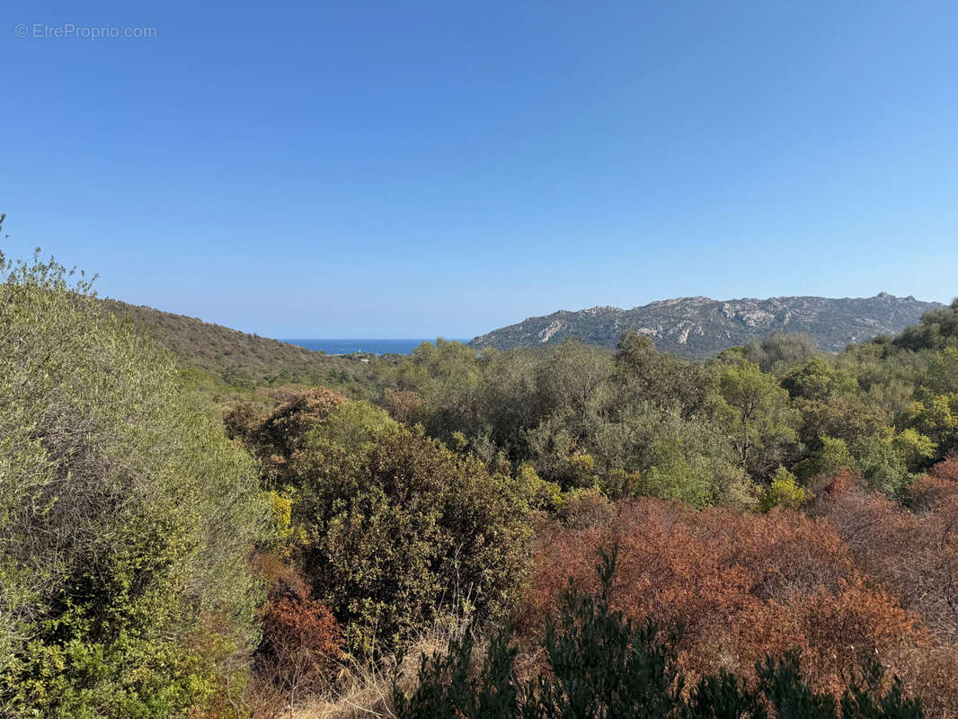 Terrain à PORTO-VECCHIO