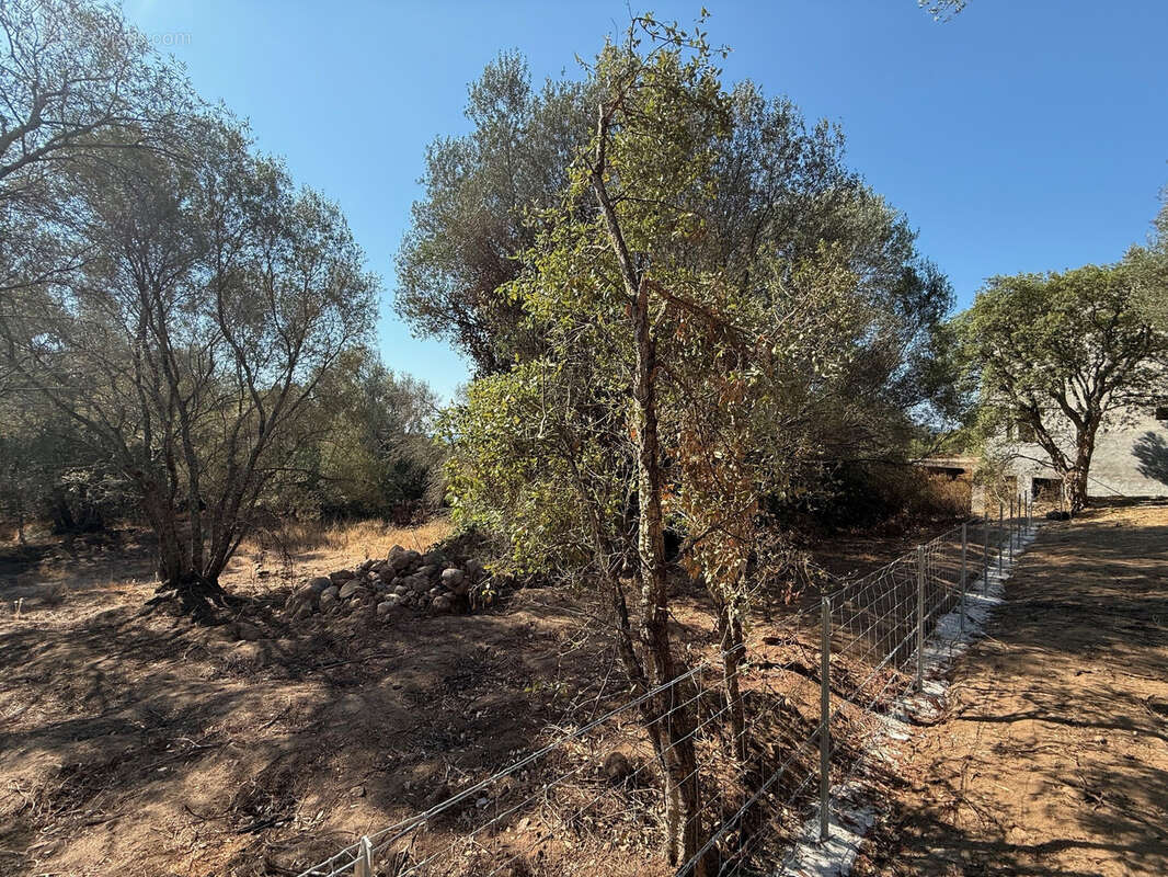 Terrain à PORTO-VECCHIO