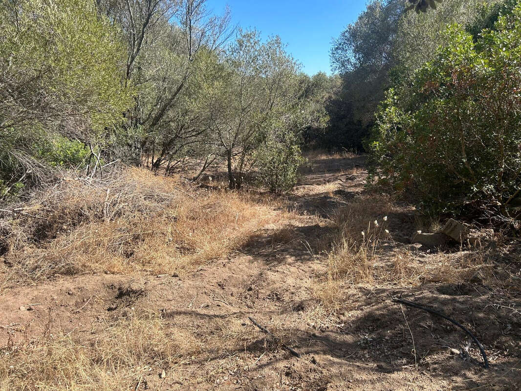 Terrain à PORTO-VECCHIO