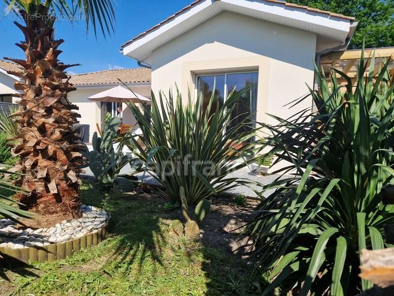 Maison à ANDERNOS-LES-BAINS