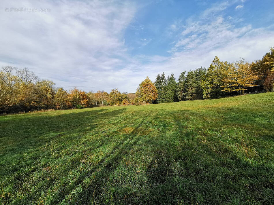 Terrain à FRUGIERES-LE-PIN