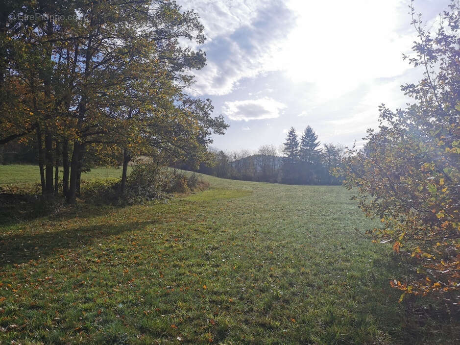 Terrain à FRUGIERES-LE-PIN