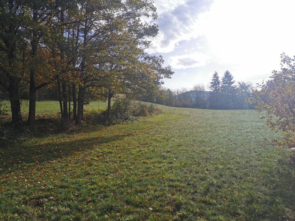 Terrain à FRUGIERES-LE-PIN