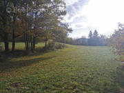 Terrain à FRUGIERES-LE-PIN