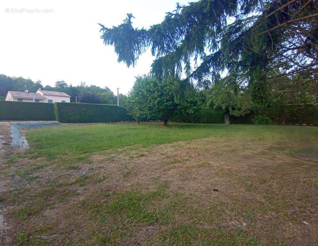 Terrain à SAINT-UZE