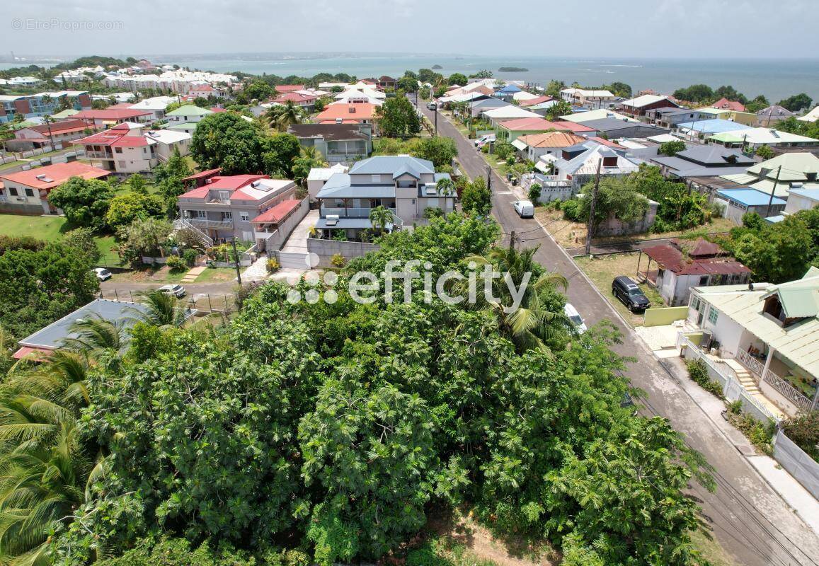 Terrain à PETIT-BOURG