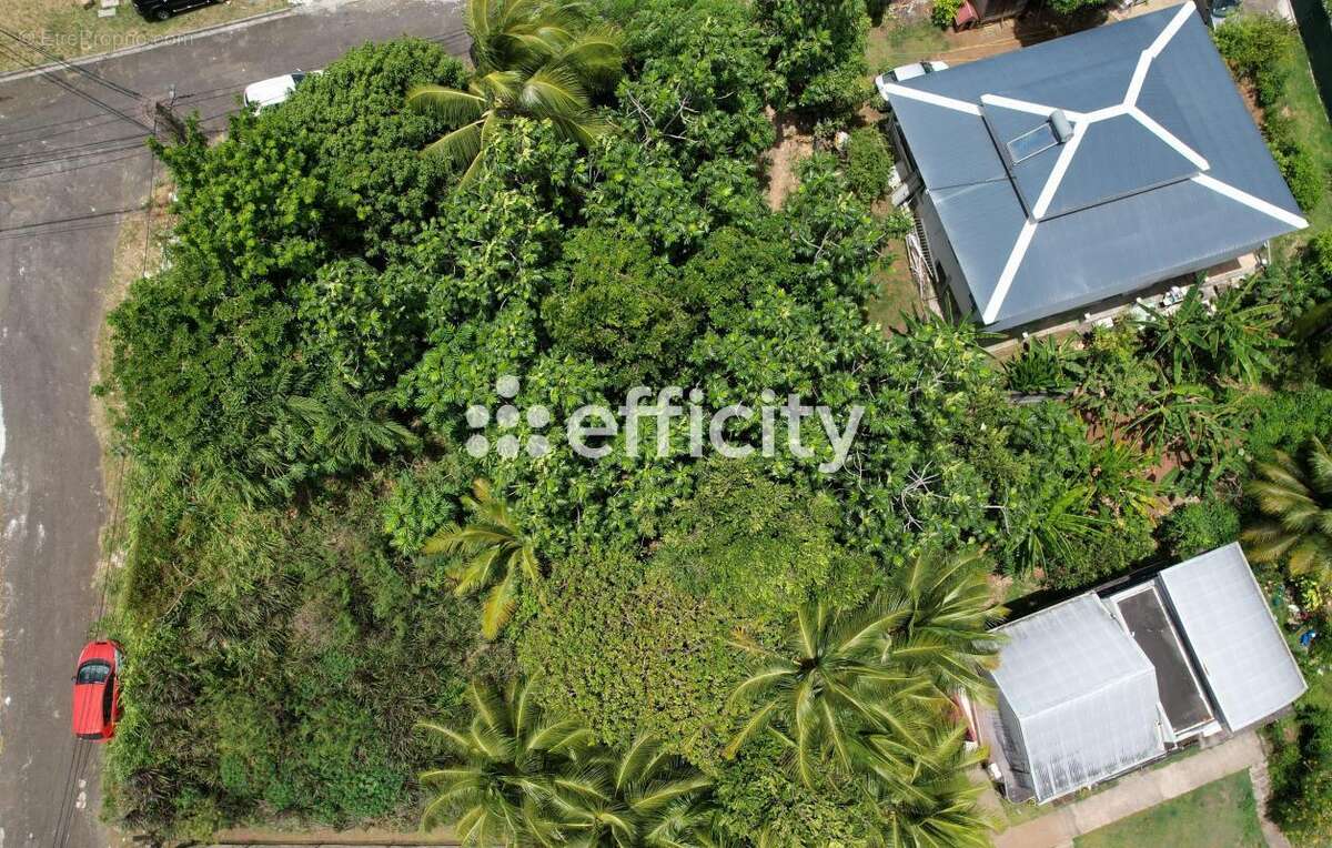 Terrain à PETIT-BOURG