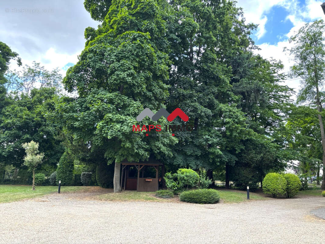 Commerce à MOLSHEIM