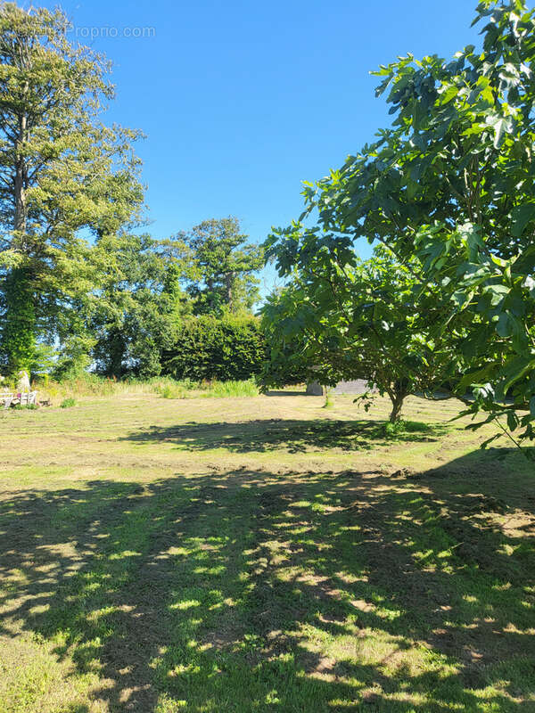 Maison à GANZEVILLE