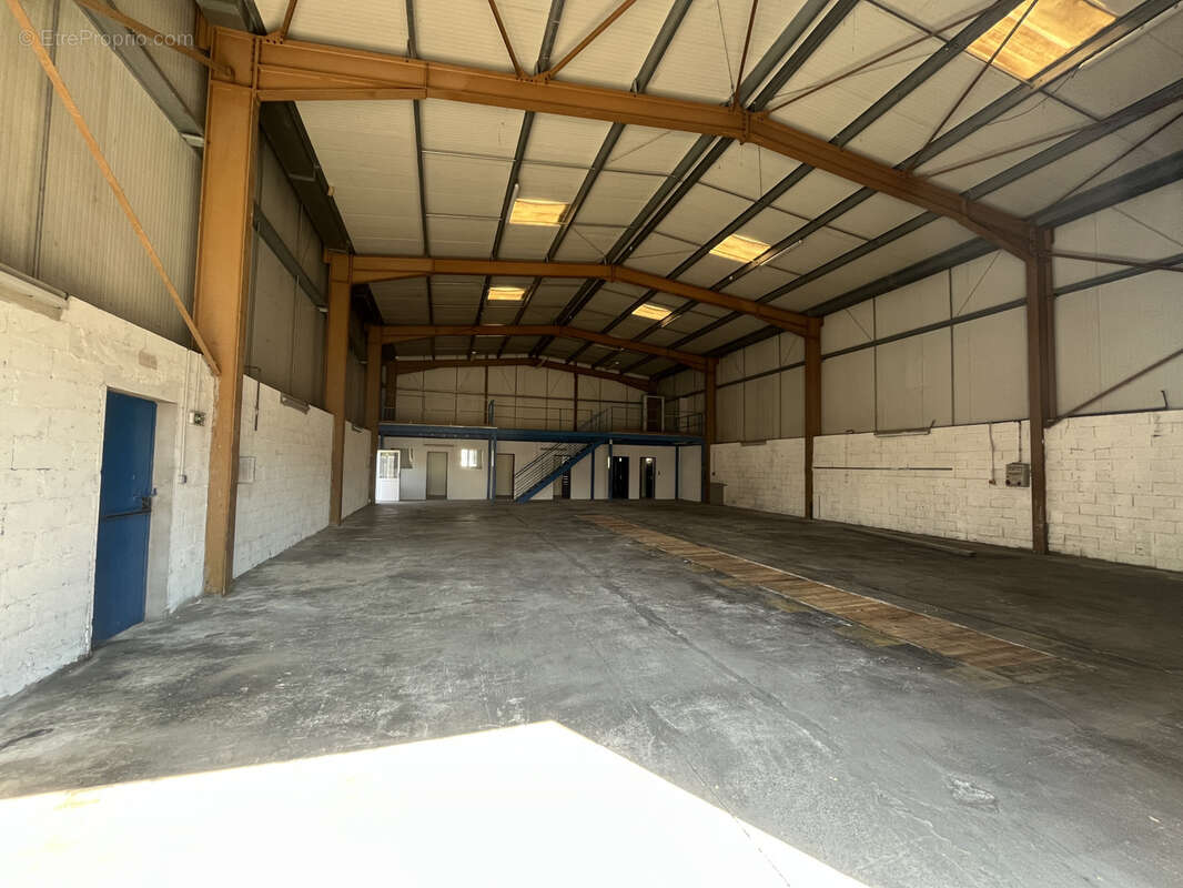 Commerce à BIGUGLIA