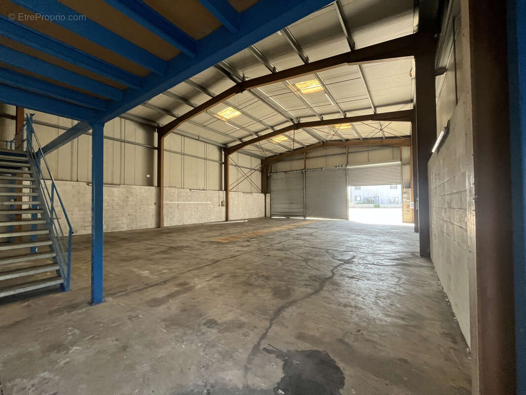 Commerce à BIGUGLIA