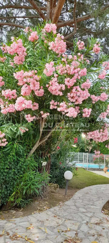 Maison à PORTET-SUR-GARONNE