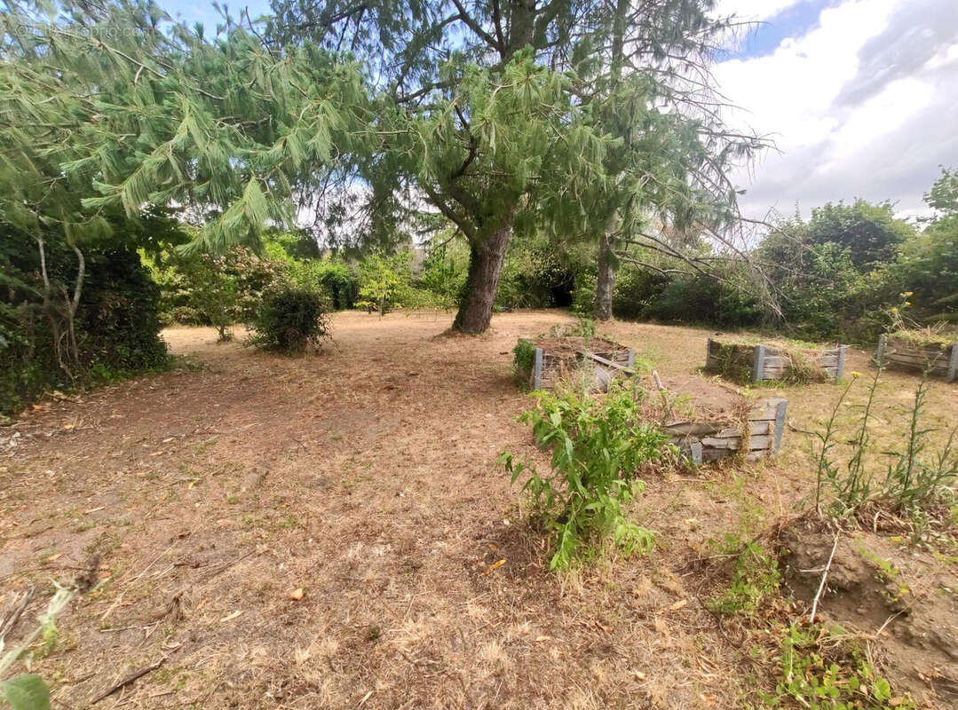 Maison à MEUNG-SUR-LOIRE