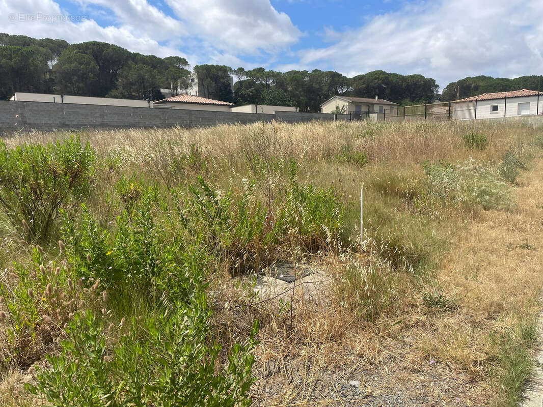 Terrain à VILLEDUBERT