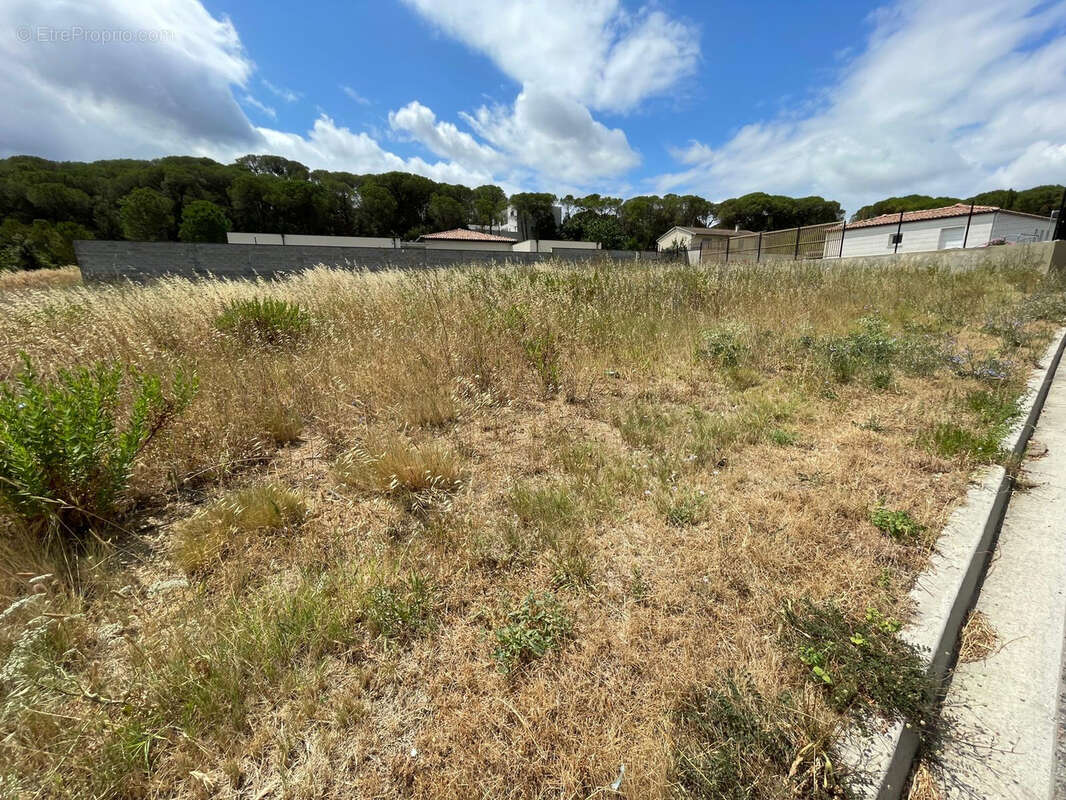 Terrain à VILLEDUBERT